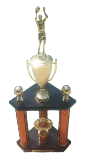 2019 Just4Hoopin Spring League