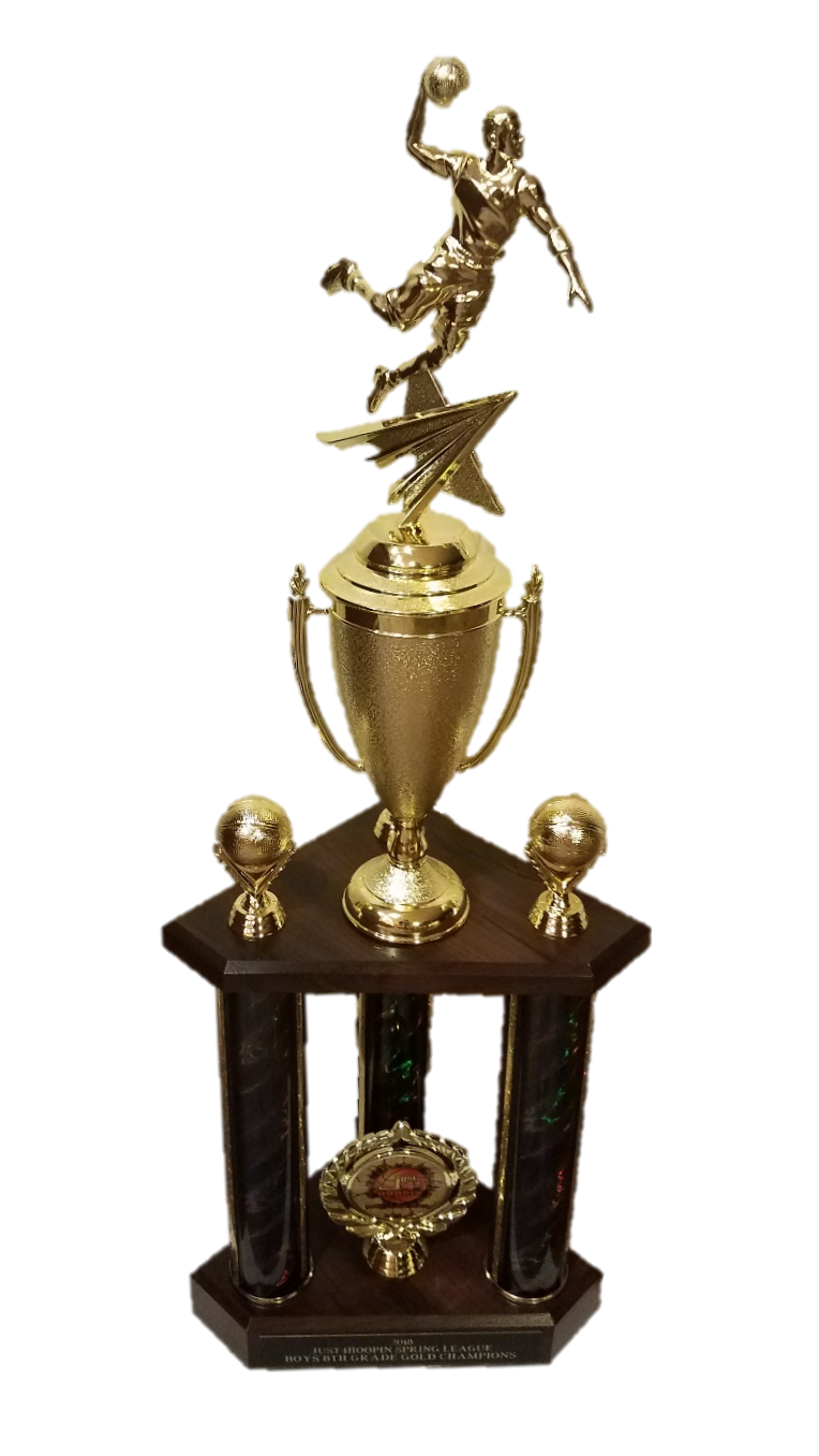 2018 Just4Hoopin Spring Champs