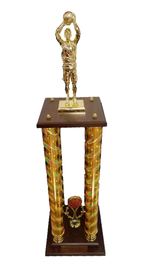 2017 Inspire Rise Above