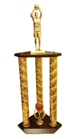 2017 Valley of the Sun